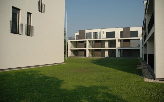 v-stav prace
