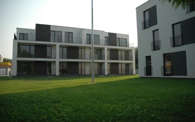 v-stav prace